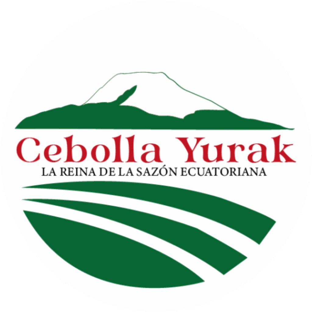 Cebolla Yurak - Cebolla blanca de alta calidad