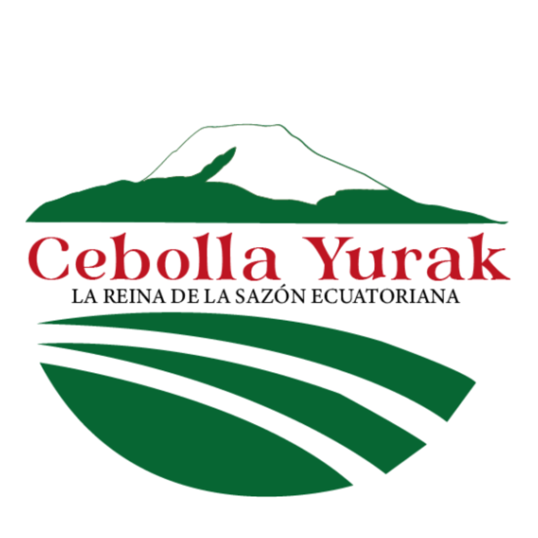 Cebolla Yurak - Cebolla blanca de alta calidad